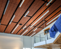 ICOM specialty ceilings
