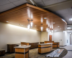 St Lukes Nampa Hospital Ceiling